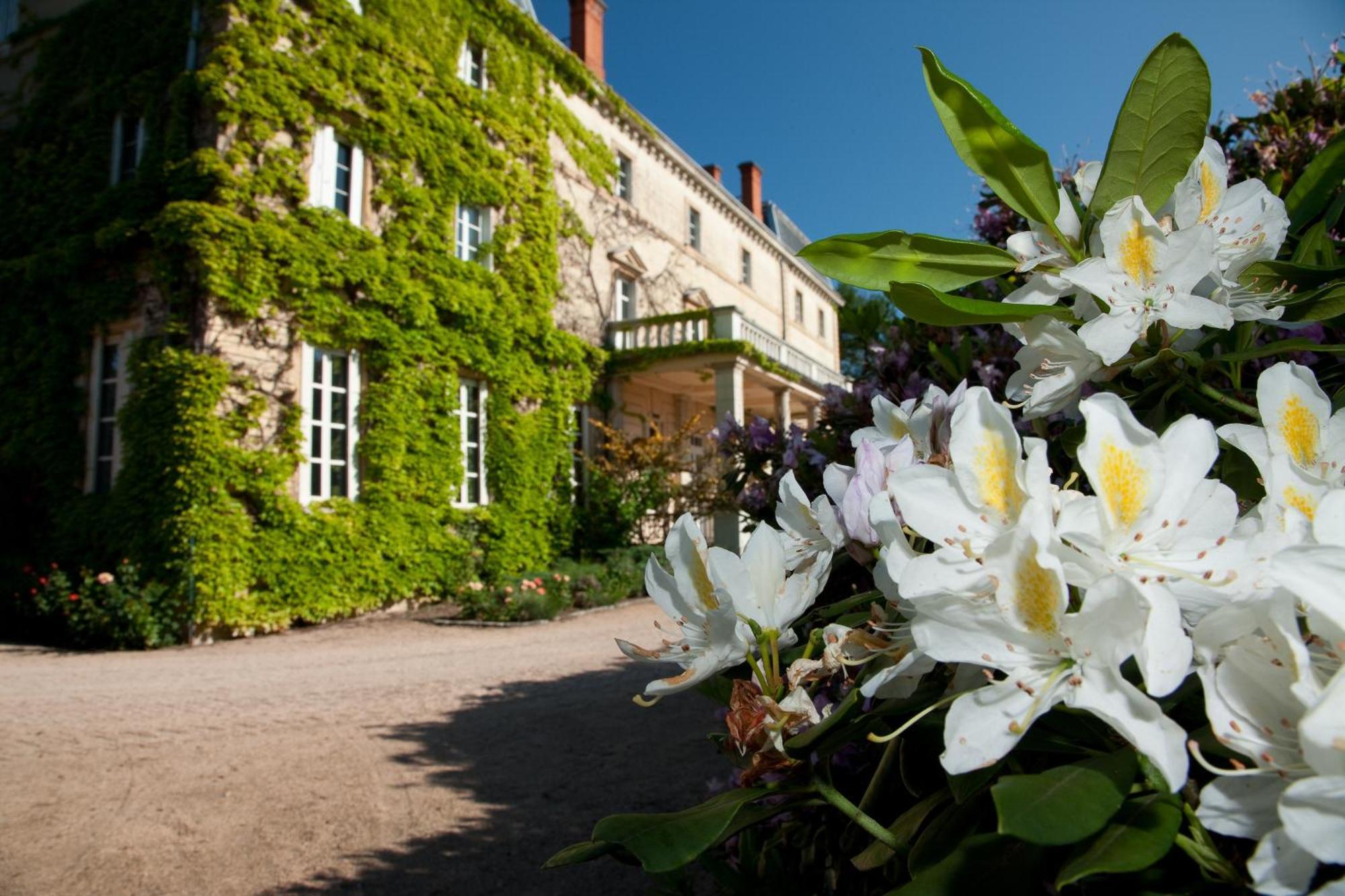 Chateau De Bellevue B&B Villié-Morgon Zewnętrze zdjęcie