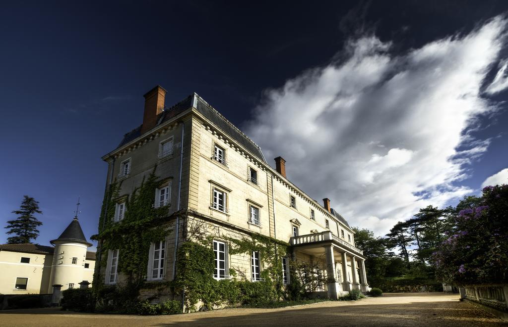 Chateau De Bellevue B&B Villié-Morgon Zewnętrze zdjęcie